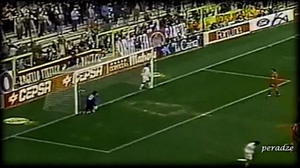 Roberto Carlos Top 10 Goals