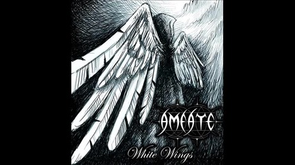 Amfate - Falcon Above