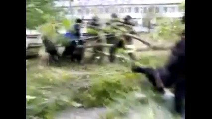 Руската Полиция Срещу Дърво - Луд Смях 