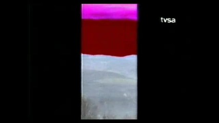 Vesna Zmijanac - Sto