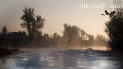Красотата На Природата Photography by Petаr Krusev - Youtube