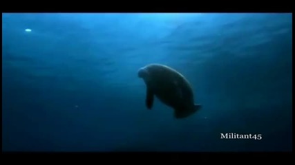 The Most Beautiful Chill Out Music Ever. - Youtube