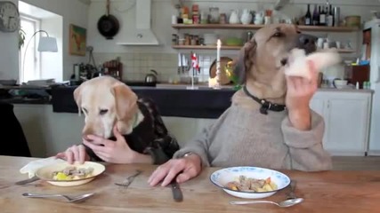 Two Dogs Dining
