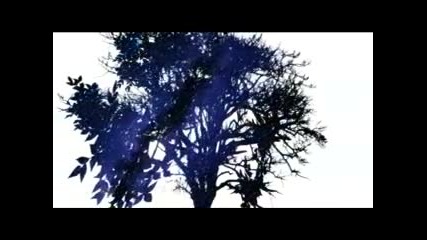 rin kagamine - last night good night 