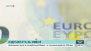 Работещи, но бедни: Тенденцията продължава въпреки ръста на доходите