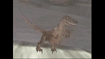 Beast Wars Best Video