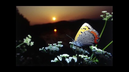 Mike Oldfield The Inner Child 
