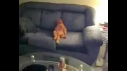 Iztinskia Garfield