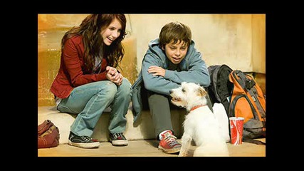 Hotel For Dogs