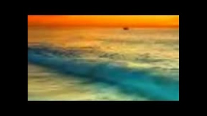 Coastline - Sunset Bar 