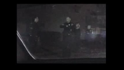 Resilience - The Ones