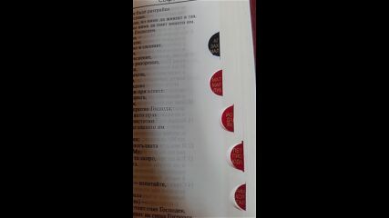 Vid_20230401_161820.mp4