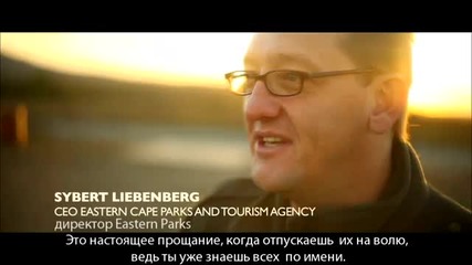 Летящият носорог