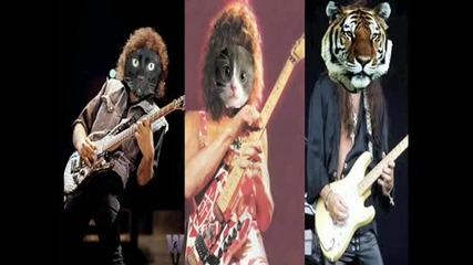 cat off 
