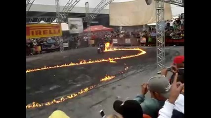 Горяща кобра - moto show 