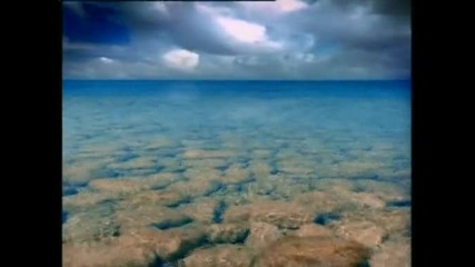 Tamara Shadow- I Turn To You
