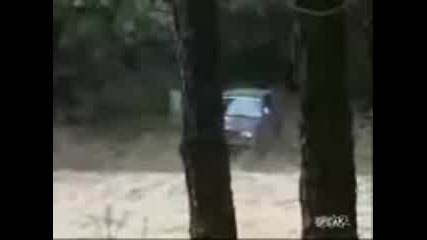 Дивак 
