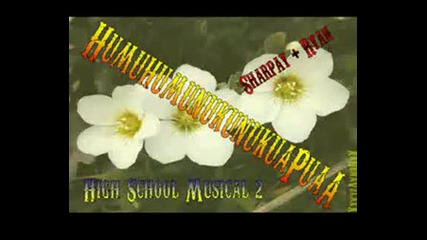 High School Musical 2 - Humuhumunukunukuapuaa Full Song