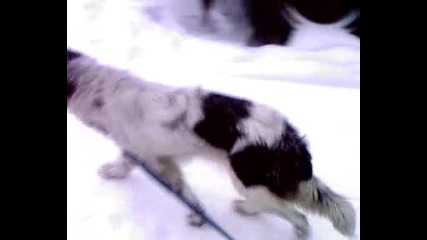 Видео - 0001