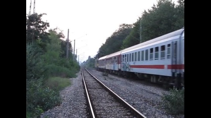 46229 8614 Сльнчев бряг