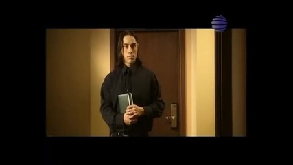 Камелия - Искаш или да
