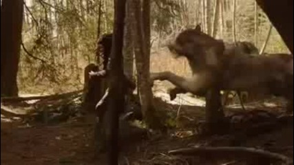 Здрач 2: Новолуние - Никога няма да те нараня 