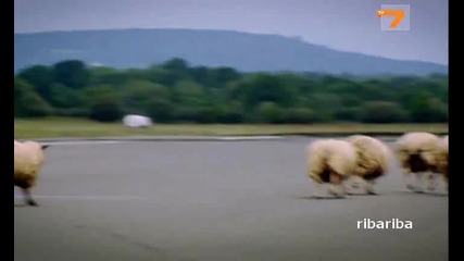 Top Gear - Сезон 13 , Епизод 7 , Част 2 ( Bg Audio )