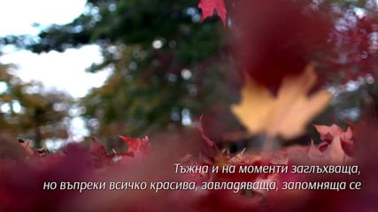 Момиче, разпали огънчето - Мартин Шмаус