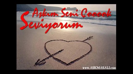 Sevgul Alich0 Seval Edi Oktay