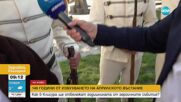 149 години от Априлското въстание