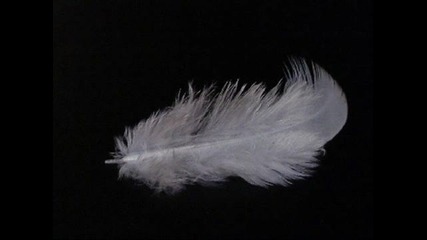 Steve Vai - Feathers