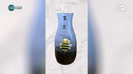 Застрашени ли са пчелите от все по-честите наводнения в световен мащаб