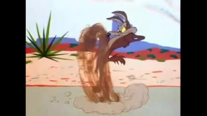 coyote & road runner 