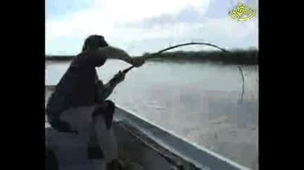 Рибар Вади Огромен Сом