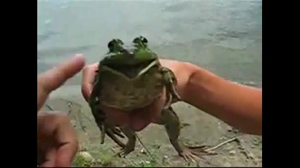 Crazy Frog в реалния живот
