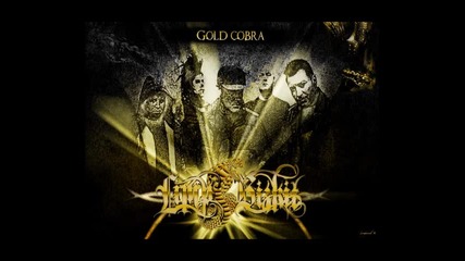 Limp Bizkit - 2011 - Gold Cobra - 12 - Why Try