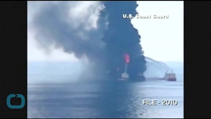 Dolphin Deaths Linked To 2010 Gulf of Mexico Oil Spill