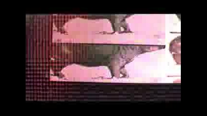 Linkin Park - Given Up [official Video]