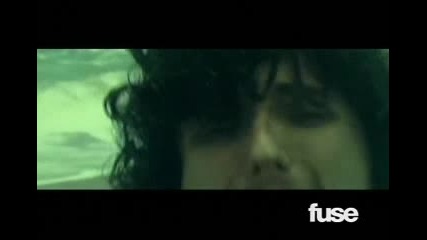 The Starting Line - Island
