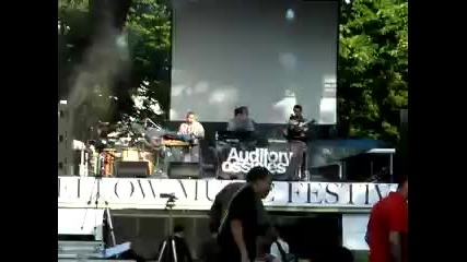 Mellow Music Festival - Sofia 2010 - Auditory Ossicles 