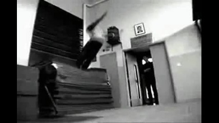 The very best of David Belle
