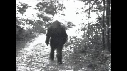 Paranormal