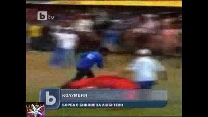 Борба с бикове за любители, 20 януари 2011, b T V Новините 