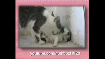 Ultra Cute - Mothers Day