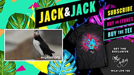 ✜2014✜ Jack and Jack - Wild Life