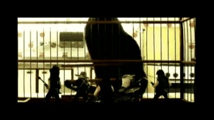 Massacration - Evil Papagali 