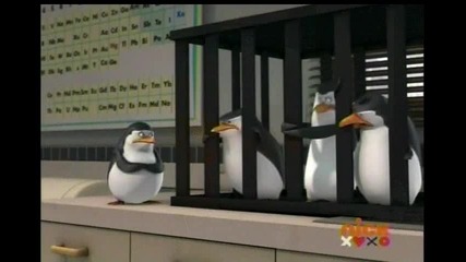 The Penguins of Madagascar - Love hurts