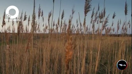 Conrad Winged Ascania - Lighthouse (original Mix) ( promo )