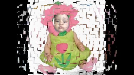 zekie