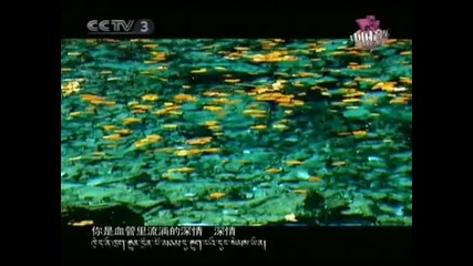 Kelsang Metok - Falling Love with Jiuzhaigou Valley 